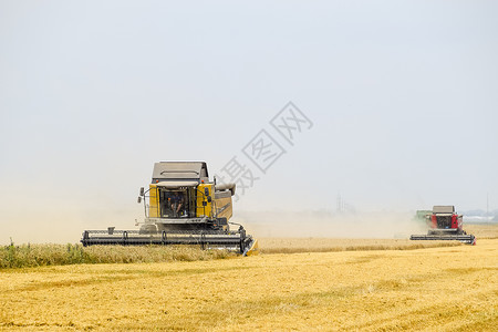 心脏地带俄罗斯克拉诺达尔附近的田地2017年月5日用联合收割机小麦成熟田农业机械与联合收割机小麦背景