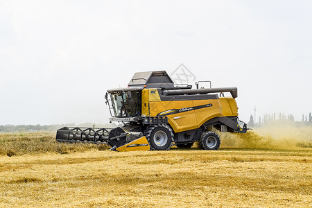 俄罗斯克拉诺达尔附近的田地2017年月5日用联合收割机小麦成熟田农业机械与联合收割机小麦背景图片