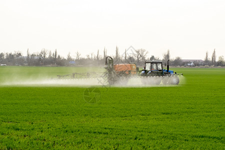 克鲁日俄罗斯Temryuk附近的田地2017年5月日高轮拖拉机正在对小麦施肥使用微散喷洒的化学品拖拉机配备微散喷洒化肥的装置拖拉机配备背景
