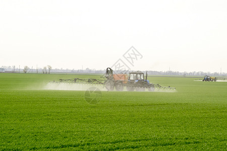 俄罗斯Temryuk附近的田地2017年5月日高轮拖拉机正在对小麦施肥使用微散喷洒的化学品拖拉机配备微散喷洒化肥的装置拖拉机配备背景图片