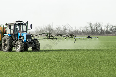 俄罗斯Temryuk附近的田地2017年5月日高轮拖拉机正在对小麦施肥使用微散喷洒的化学品拖拉机配备微散喷洒化肥的装置拖拉机配备背景图片