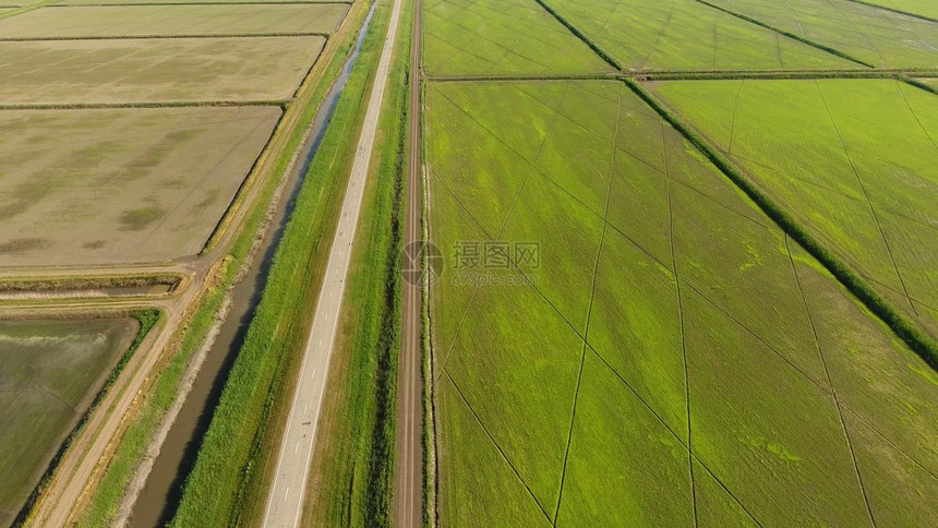 在洪水泛滥的田地上种植大米在田地上种植大米收获的开始鸟类眼观淹没大米稻田在地上种植大米的农艺方法在稻田上种植大米收获的开始鸟类眼图片