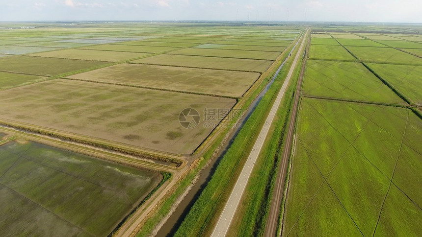 在洪水泛滥的田地上种植大米在田地上种植大米收获的开始鸟类眼观淹没大米稻田在地上种植大米的农艺方法在稻田上种植大米收获的开始鸟类眼图片