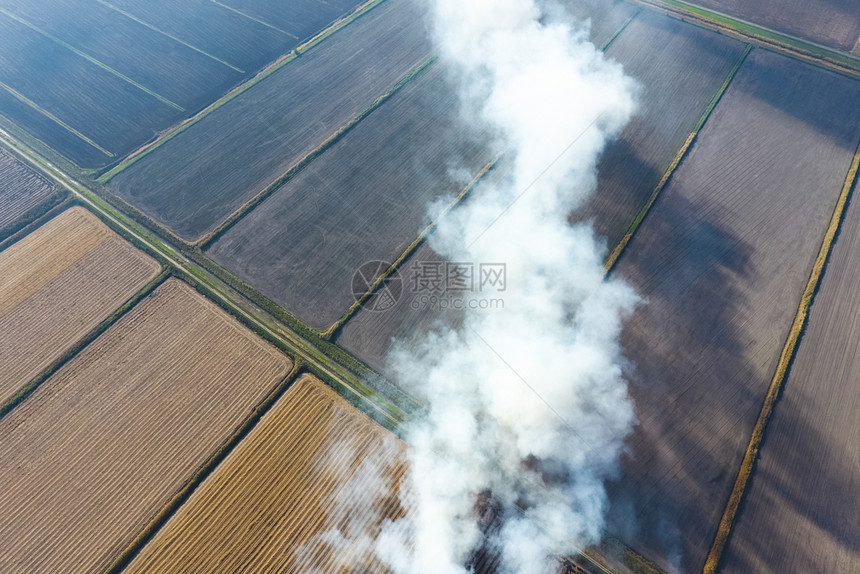 在田里烧稻草地上纸地烟田里火地上稻在地火在地图片