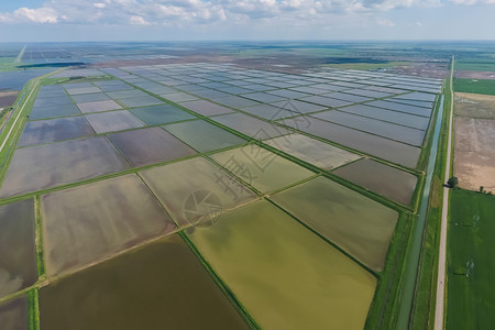 农艺的大米田地种植大米的农艺方法种稻的田地被水淹没上面的景象大米稻田种植的农艺方法种植大米的农艺方法背景