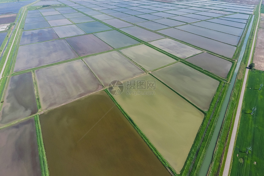 大米田地种植大米的农艺方法种稻的田地被水淹没上面的景象大米稻田种植的农艺方法种植大米的农艺方法图片
