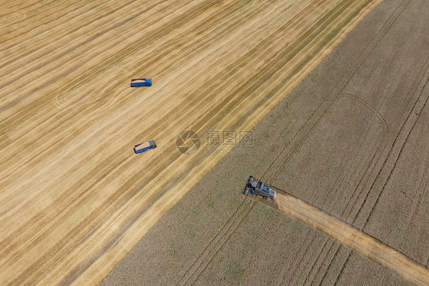 收割小麦获器农业机械投入使用图片