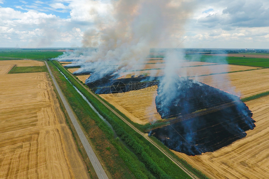 收获后在小麦田中烧草烟雾污染大气收获后在小麦田中烧草图片