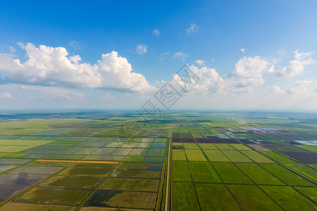 克拉丘稻田被水淹没洪水淹没间种植稻米的农艺方法耕种稻米的田地被水淹没从上面看田间种植稻米的农艺方法背景
