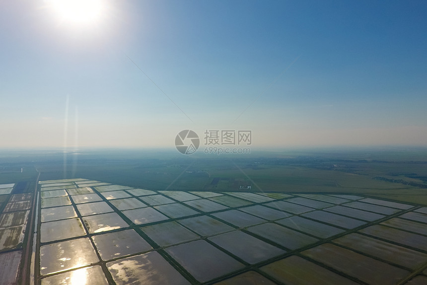 稻田被水淹没洪水淹没地里种植稻米的农艺方法太阳前的景观稻田里被水淹没从上面看阳光前的景观稻田里被洪水淹没稻田里种植米的农艺方法田图片