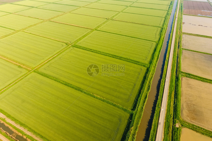 稻田被水淹没洪水淹没间种植稻米的农艺方法耕种稻米的田地被水淹没从上面看田间种植稻米的农艺方法图片