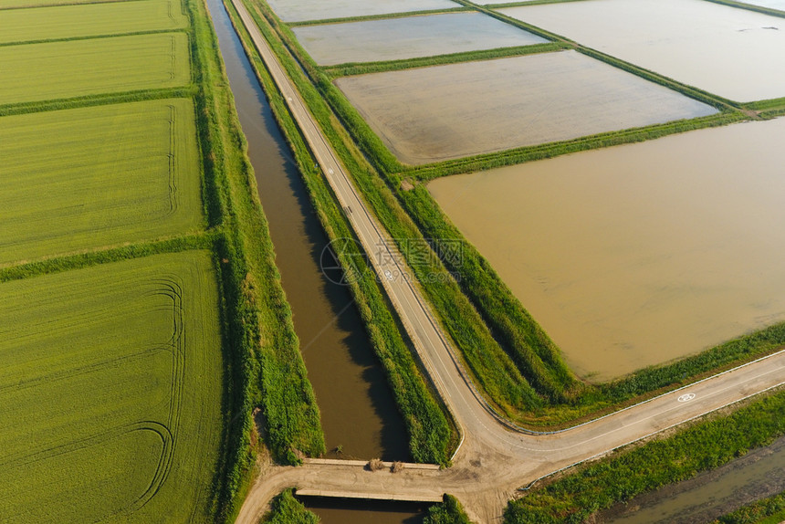 稻田被水淹没洪水淹没间种植稻米的农艺方法耕种稻米的田地被水淹没从上面看田间种植稻米的农艺方法图片