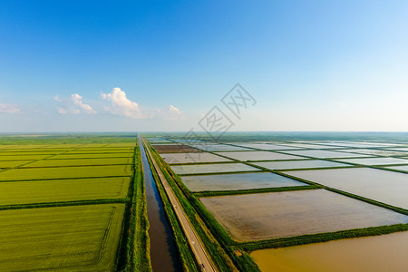 水稻米稻田被水淹没洪水淹没间种植稻米的农艺方法耕种稻米的田地被水淹没从上面看田间种植稻米的农艺方法背景