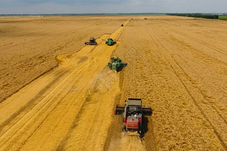 克拉丘俄罗斯克拉诺达尔2017年月日收获小麦者农业机械在田间收获谷物农业机械在运行收获小麦者农业机械在收割谷物背景