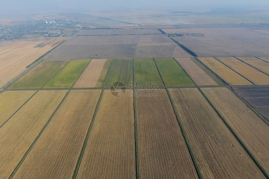 在洪水泛滥的田地上种植大米在田地上种植大米在田地上种植大米收获的开始鸟眼观淹没稻田在地上种植大米的农艺方法在野地上种植大米在地上图片