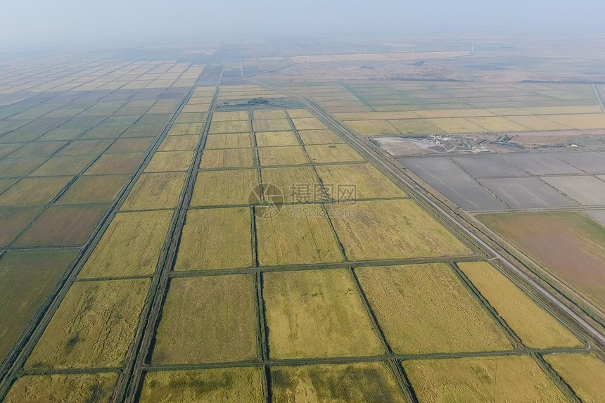 在洪水泛滥的田地上种植大米在田地上种植大米在田地上种植大米收获的开始鸟眼观淹没稻田在地上种植大米的农艺方法在野地上种植大米在地上图片