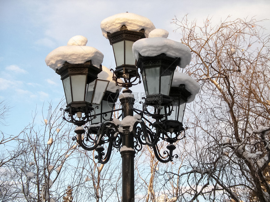 公园的灯笼洒满了雪冬天在公园点灯的笼洒满了雪图片