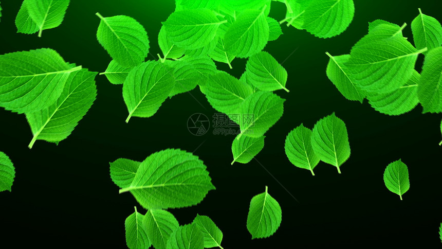 空间中许多亮绿色叶子计算机生成抽象背景3D转换空间中许多亮绿色叶子3D转换图片