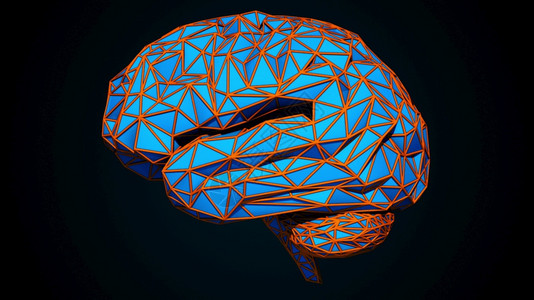 人类大脑由多种边形生成的彩色三角形计算机生成的组合构3D从多边形中生成的大脑数字人工智能类大脑是由多种三角形计算机生成的组合构3背景图片