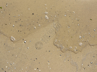 黄湿海沙整体纹理图片