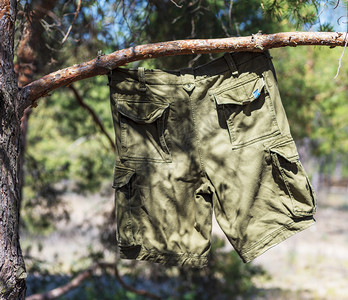 绿色男子的短裤挂在树林松枝上图片