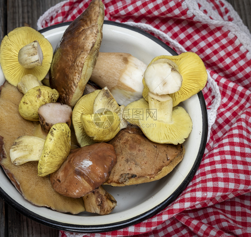 新鲜食用森林蘑菇苏利勒斯润滑油和布利特斯食用动物最高视图图片