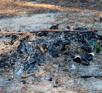 夏天下午在沙地上的森林中熄灭营火图片