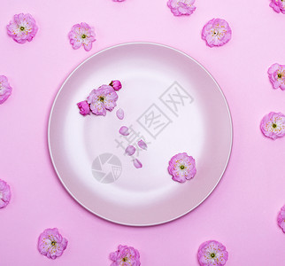 在粉红樱桃花芽中粉红色背景的圆陶瓷板背景图片