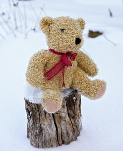 棕色孩子的柔软玩具熊坐在白雪中间的树桩上图片