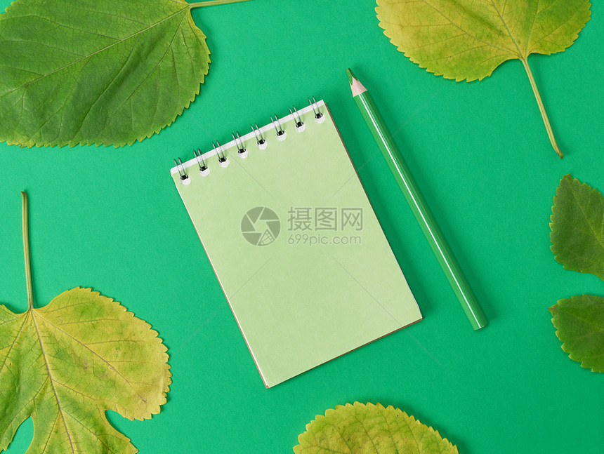 绿色背景和木铅笔上的记本图片