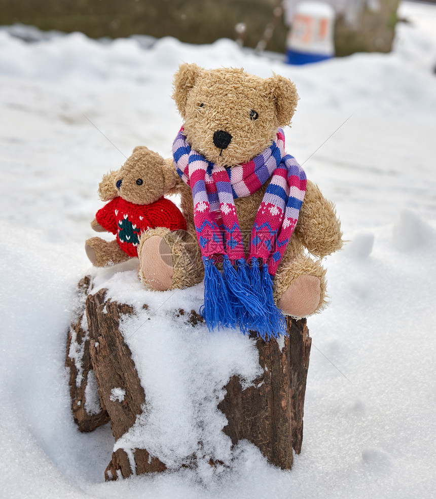 两只棕色的泰迪熊坐在树桩上拥抱冬日图片
