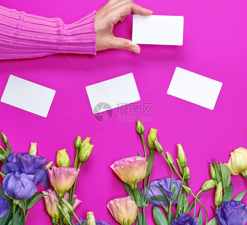 穿着粉色毛衣的女手拿着一张白纸名片在粉红背景上挂着花朵图片