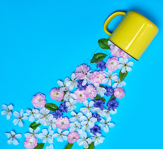 蓝底的黄色陶瓷杯和花芽图片