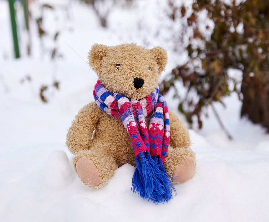 穿围巾的老泰迪熊坐在寒冬的白雪上图片