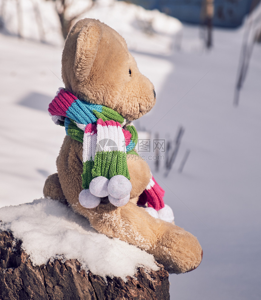 一只围巾中的泰迪熊在一个冬天的坐在白雪中方的树桩上图片