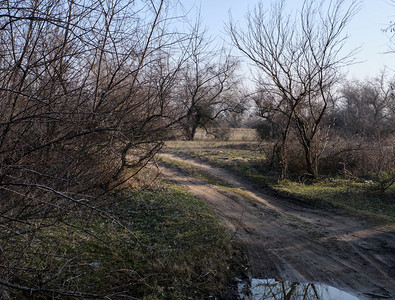 乌克兰日落草原中间的公路图片