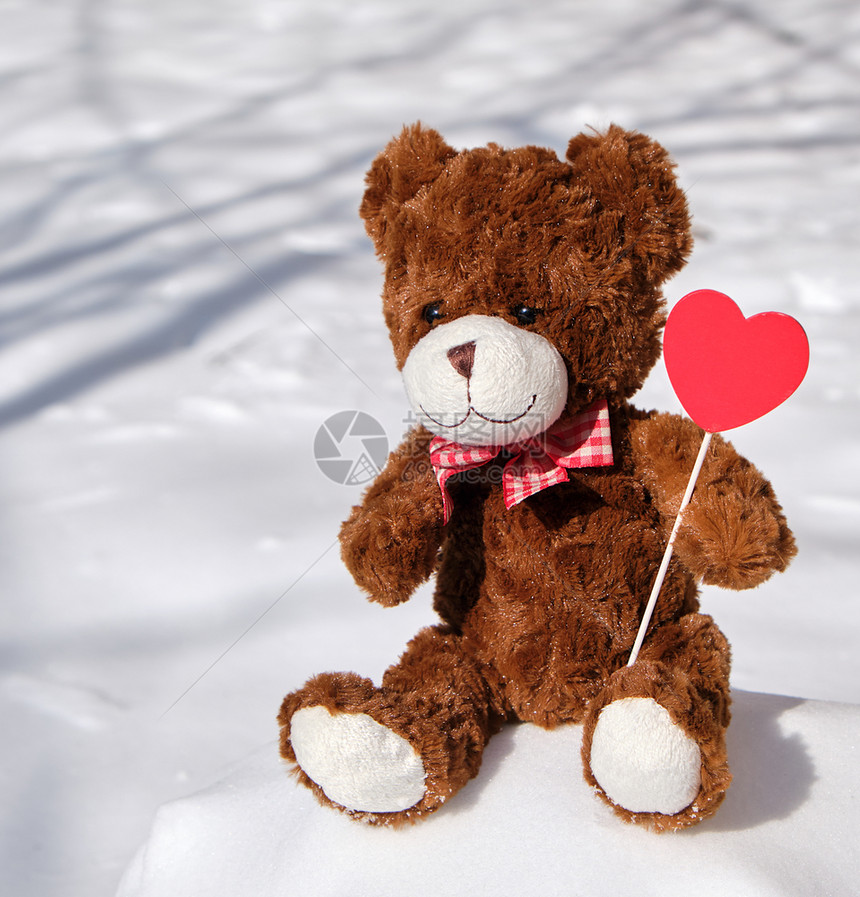 棕色泰迪熊坐在雪上白天图片
