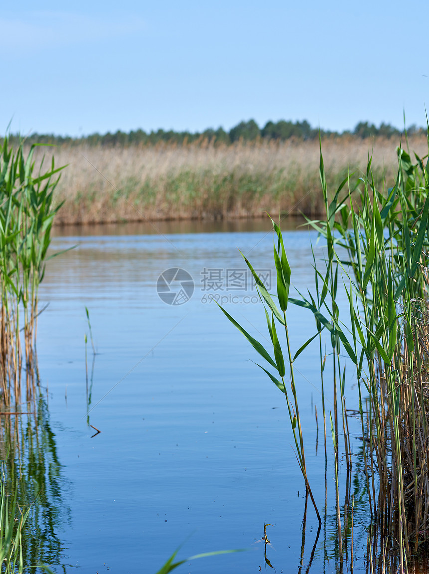 野草原中间的含碘和矿物食用湖乌克兰蓝赫尔森市图片