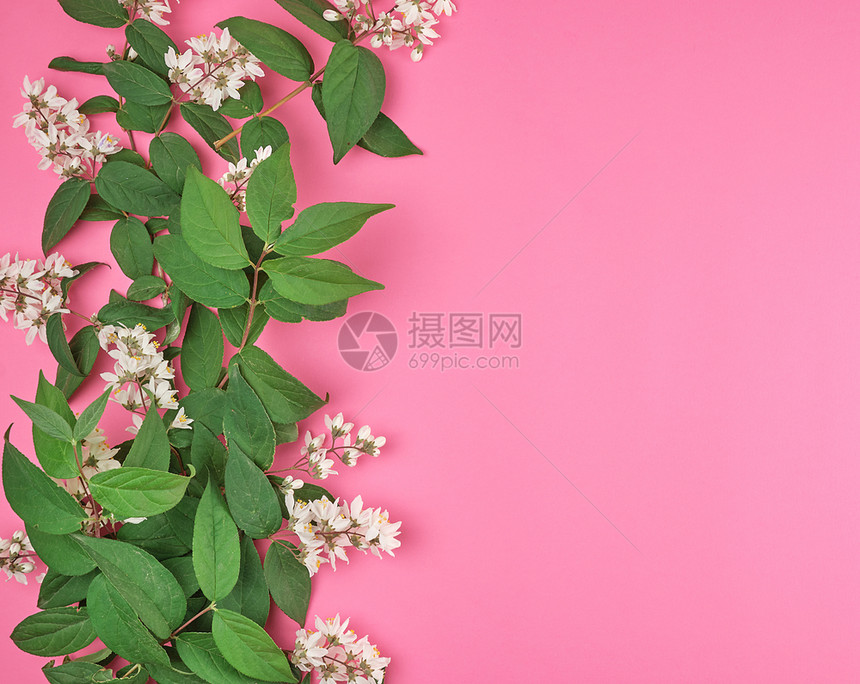 白色花束绿叶子粉红背景节日空白间图片