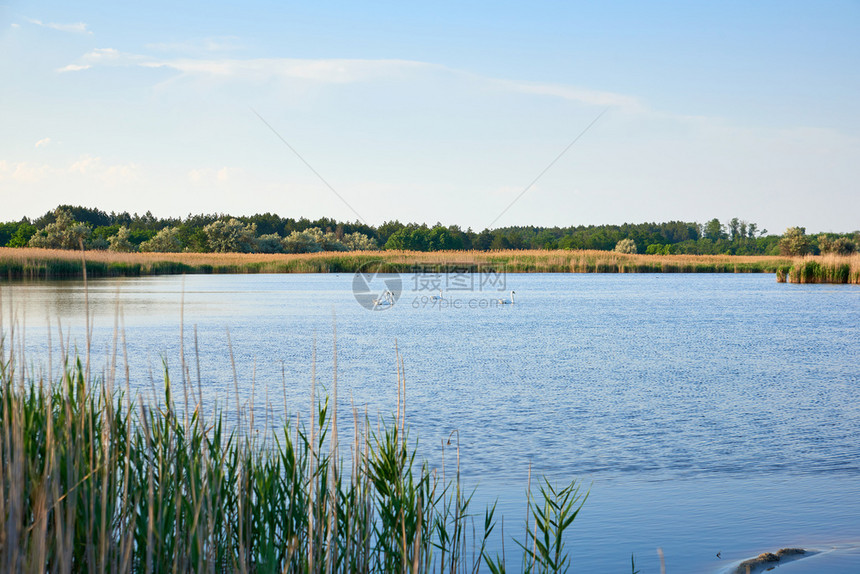 野草原中间的含碘和矿物食用湖乌克兰蓝赫尔森市图片