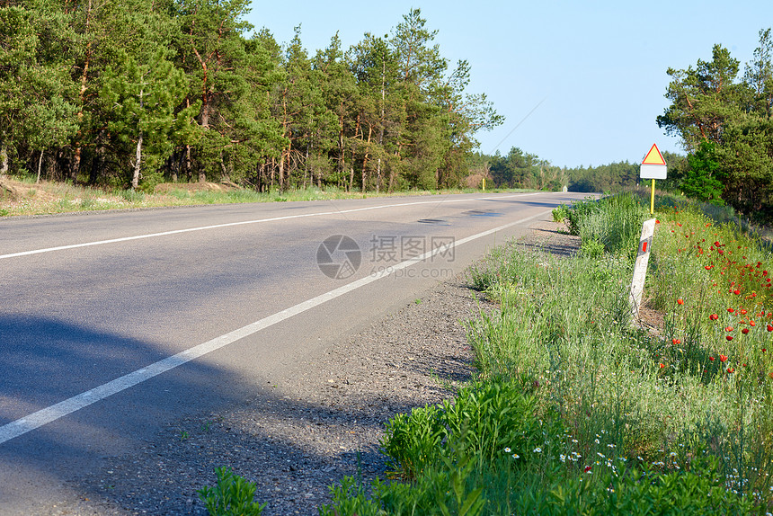 沿森林的沥青路乌克兰夏季日图片