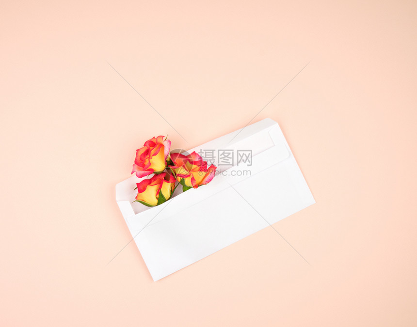 黄色玫瑰花芽和白纸信封放在桃子背景上最美平面图片