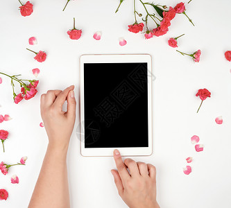 白色电子平板黑屏两只手握着装置在白背景上举起装置面是粉红玫瑰的花蕾最高视图背景图片