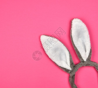 野兔耳朵羊毛粉色背景上有耳朵的兔子的毛皮头饰化装的节日属背景