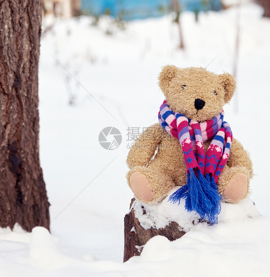 棕色孩子的柔软玩具熊穿着白雪中坐在树桩上图片