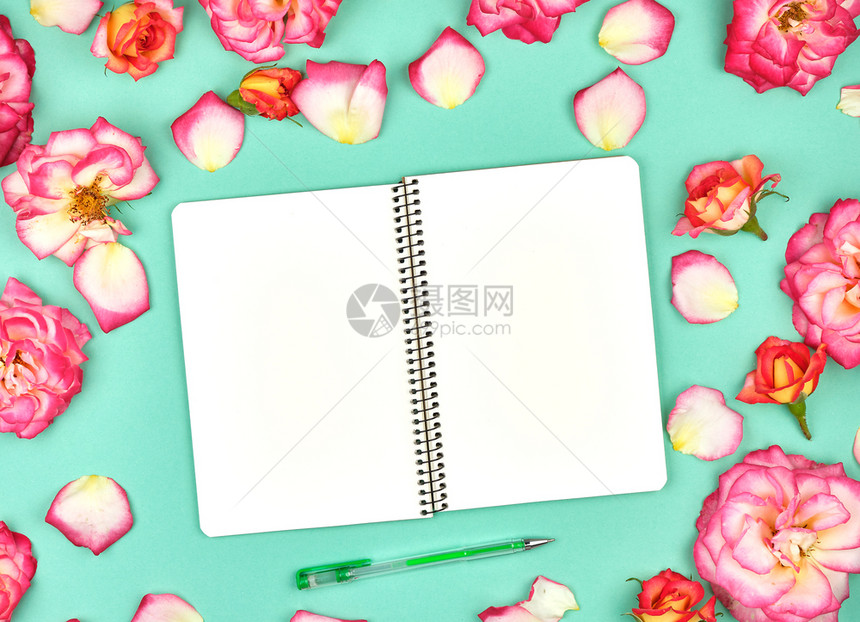 绿色背景和粉红玫瑰花瓣上的白页面图片