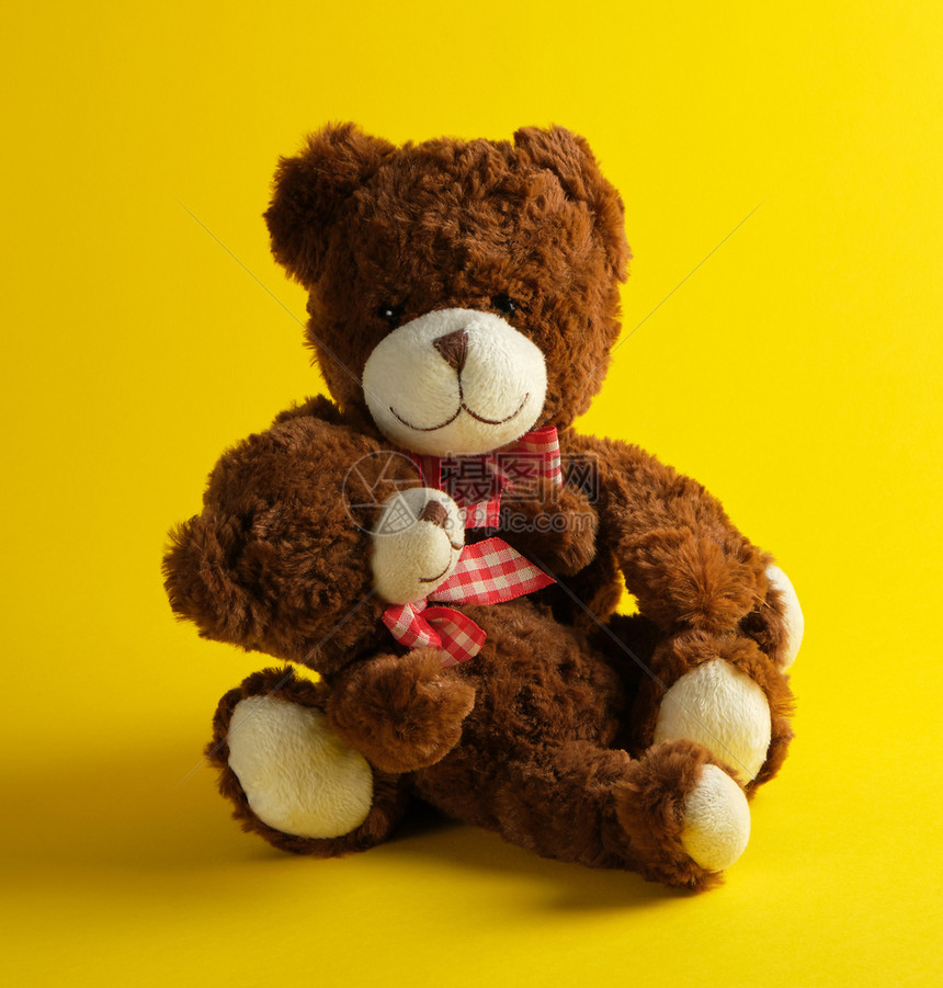 两个棕色泰迪熊黄背景的家庭概念图片