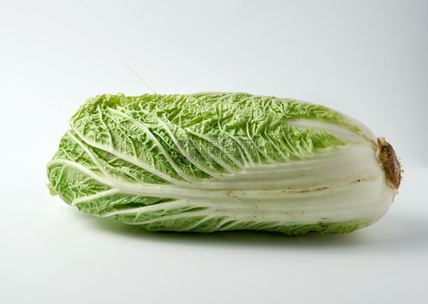 绿色卷心菜图片