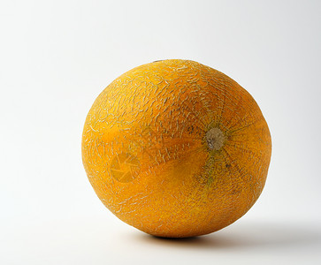 整个成熟的黄瓜圆白色背景夏季水果关闭图片