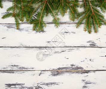 白色背景的绿针叶树枝来自破损板圣诞节日背景复制空间图片
